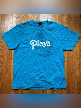 American Eagle Graphic Tee in Bright Teal